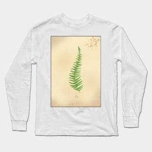 Fern, botanical watercolor painting Long Sleeve T-Shirt